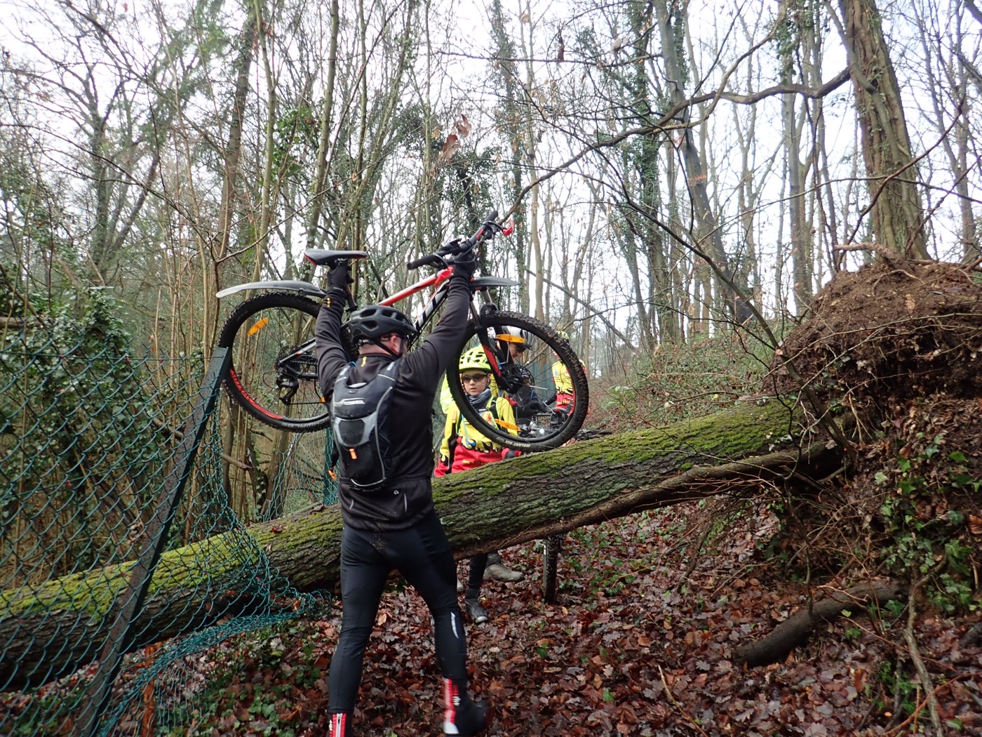 Zifoun's sur un single en sous-bois